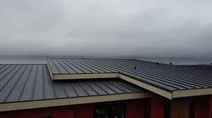 Best Rubber Roofing (EPDM, TPO)  in Novato, CA